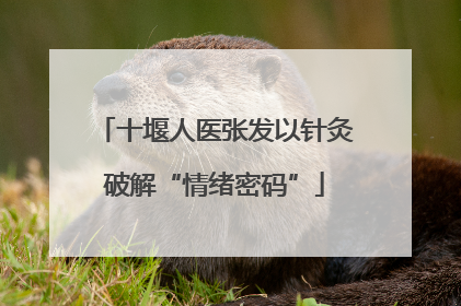 十堰人医张发以针灸破解“情绪密码”