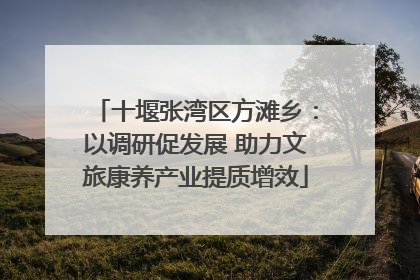 十堰张湾区方滩乡：以调研促发展 助力文旅康养产业提质增效