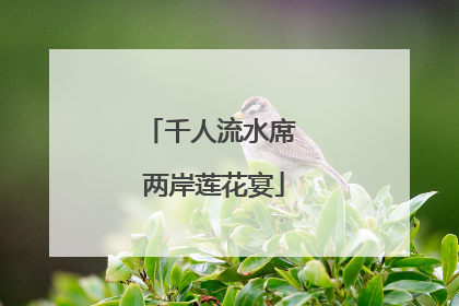 千人流水席 两岸莲花宴