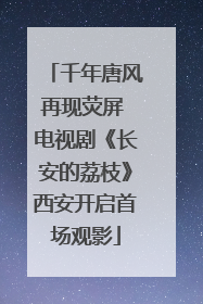 千年唐风再现荧屏 电视剧《长安的荔枝》西安开启首场观影