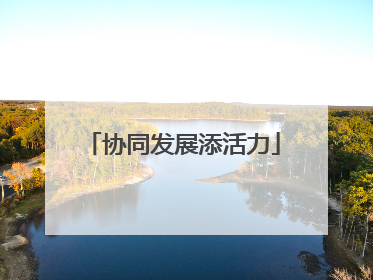 协同发展添活力