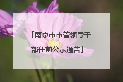 南京市市管领导干部任前公示通告