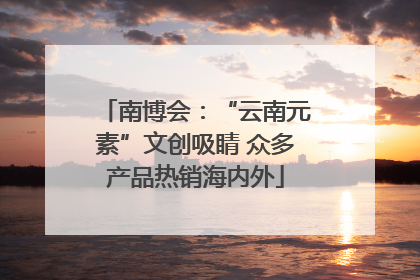 南博会：“云南元素”文创吸睛 众多产品热销海内外