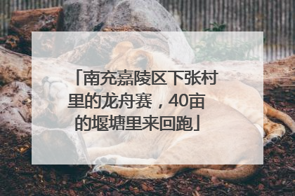 南充嘉陵区下张村里的龙舟赛，40亩的堰塘里来回跑