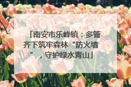 南安市乐峰镇：多管齐下筑牢森林“防火墙”，守护绿水青山