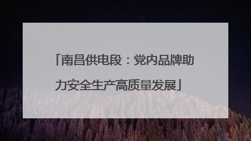 南昌供电段：党内品牌助力安全生产高质量发展