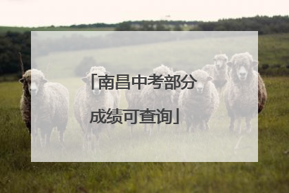 南昌中考部分成绩可查询