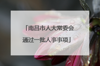 南昌市人大常委会通过一批人事事项