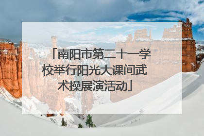南阳市第二十一学校举行阳光大课间武术操展演活动