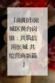 南阳市宛城区黄台岗镇：共筑信用长城 共绘营商新篇
