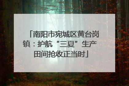 南阳市宛城区黄台岗镇：护航“三夏”生产 田间抢收正当时
