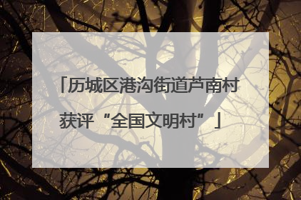 历城区港沟街道芦南村获评“全国文明村”