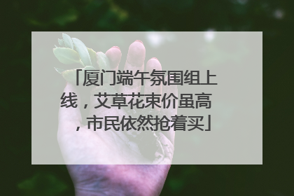 厦门端午氛围组上线，艾草花束价虽高，市民依然抢着买