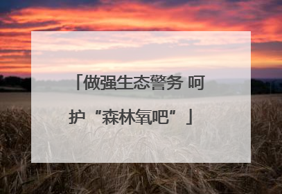 做强生态警务 呵护“森林氧吧”