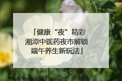 健康“夜”精彩 湘潭中医药夜市解锁端午养生新玩法