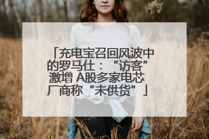 充电宝召回风波中的罗马仕：“访客”激增 A股多家电芯厂商称“未供货”