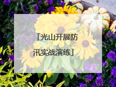 光山开展防汛实战演练