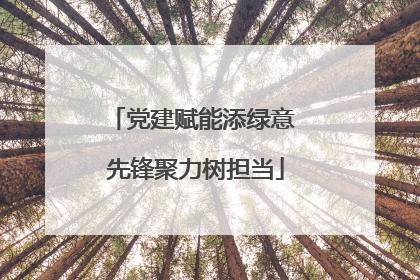 党建赋能添绿意 先锋聚力树担当