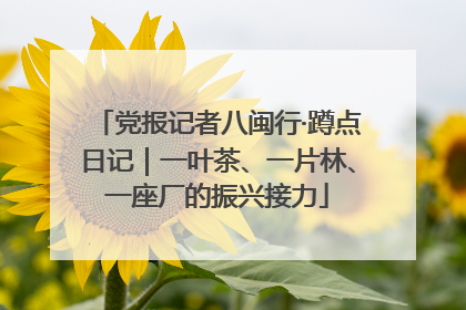 党报记者八闽行·蹲点日记｜一叶茶、一片林、一座厂的振兴接力