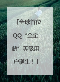 全球首位QQ“金企鹅”等级用户诞生！