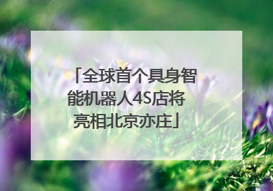 全球首个具身智能机器人4S店将亮相北京亦庄