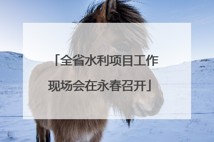 全省水利项目工作现场会在永春召开