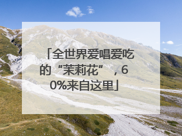 全世界爱唱爱吃的“茉莉花”，60%来自这里