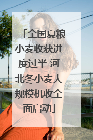 全国夏粮小麦收获进度过半 河北冬小麦大规模机收全面启动