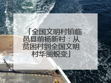 全国文明村镇临邑县前杨新村：从贫困村到全国文明村华丽蜕变