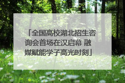 全国高校湖北招生咨询会首场在汉启幕 融媒赋能学子高光时刻