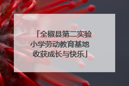 全椒县第二实验小学劳动教育基地收获成长与快乐