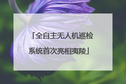 全自主无人机巡检系统首次亮相夷陵