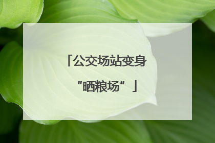 公交场站变身“晒粮场”