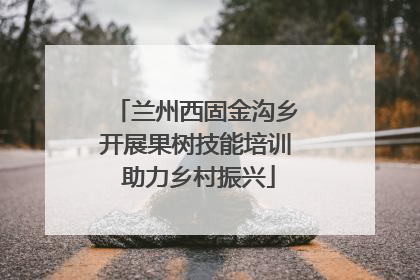 兰州西固金沟乡开展果树技能培训 助力乡村振兴
