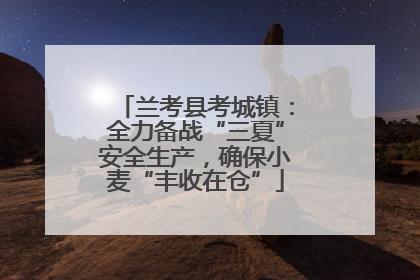 兰考县考城镇：全力备战“三夏”安全生产，确保小麦“丰收在仓”