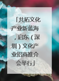 共拓文化产业新蓝海，启东（深圳）文化产业招商推介会举行