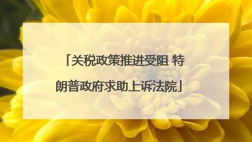 关税政策推进受阻 特朗普政府求助上诉法院