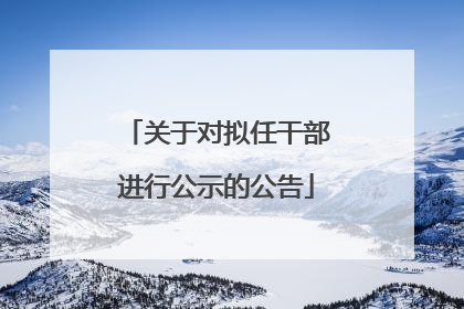 关于对拟任干部进行公示的公告