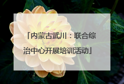 内蒙古武川：联合综治中心开展培训活动