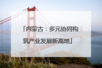 内蒙古：多元协同构筑产业发展新高地