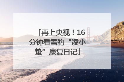 再上央视！16分钟看雪豹“凌小蛰”康复日记