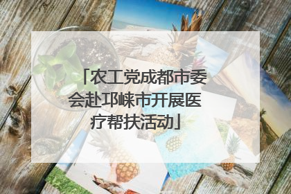 农工党成都市委会赴邛崃市开展医疗帮扶活动