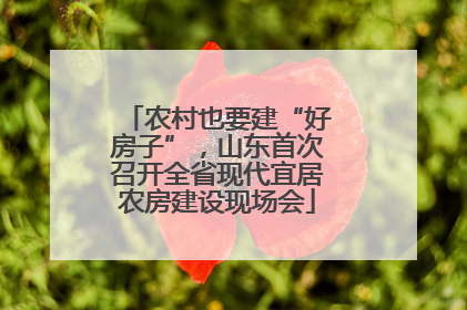 农村也要建“好房子”，山东首次召开全省现代宜居农房建设现场会