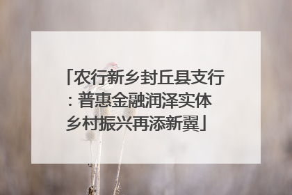 农行新乡封丘县支行：普惠金融润泽实体 乡村振兴再添新翼