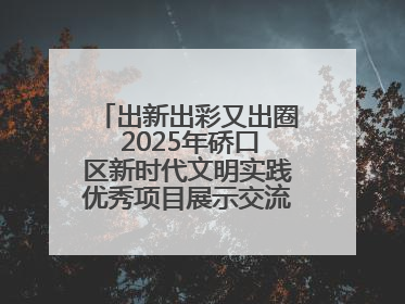 出新出彩又出圈 2025年硚口区新时代文明实践优秀项目展示交流活动举行