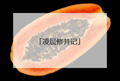 凌晨修井记