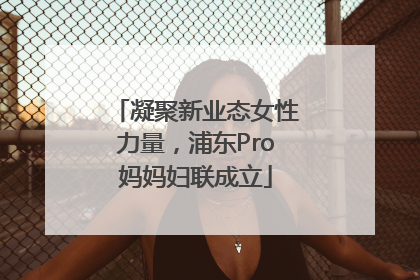 凝聚新业态女性力量，浦东Pro妈妈妇联成立