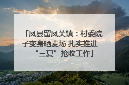 凤县留凤关镇：村委院子变身晒麦场 扎实推进“三夏”抢收工作