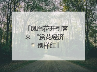 凤凰花开引客来 “赏花经济”别样红