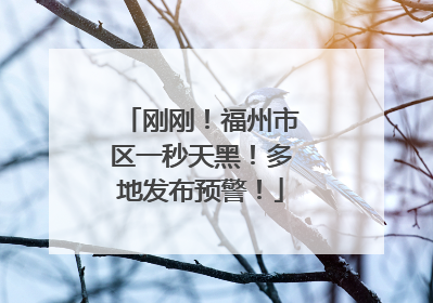 刚刚！福州市区一秒天黑！多地发布预警！